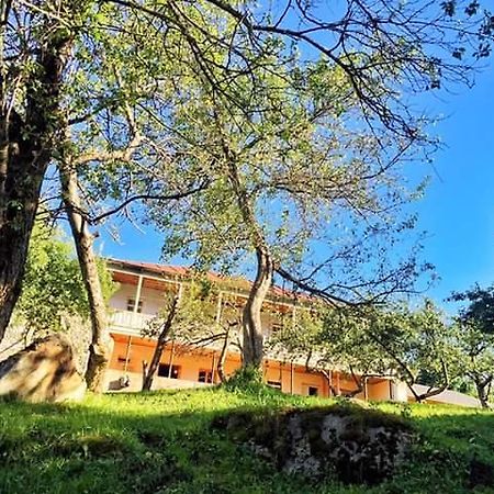 Mushkudiani Manor Hotel Mestia Exterior photo