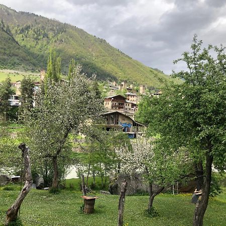 Mushkudiani Manor Hotel Mestia Exterior photo
