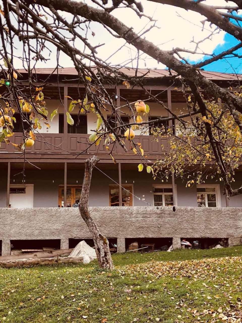 Mushkudiani Manor Hotel Mestia Exterior photo
