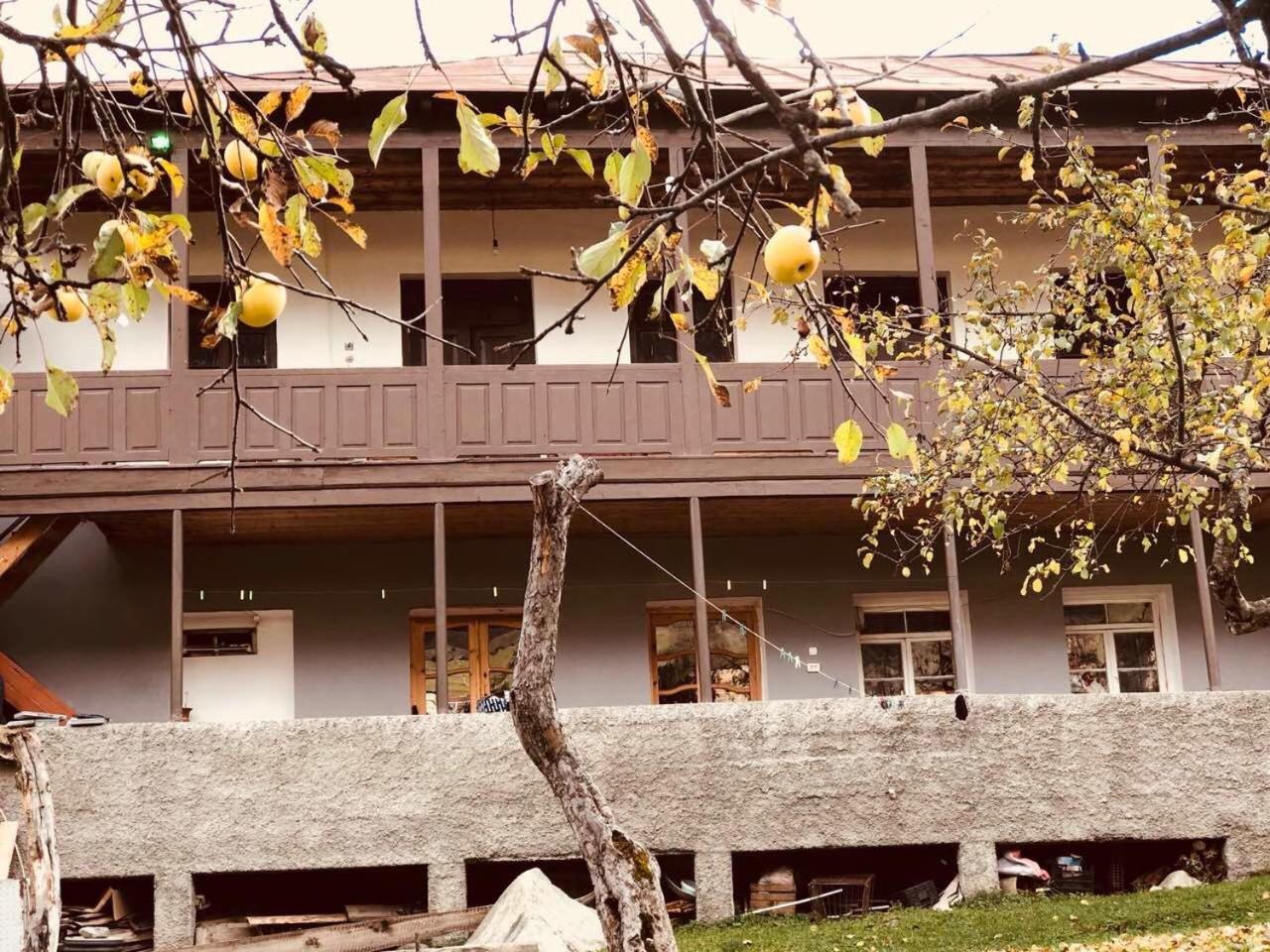 Mushkudiani Manor Hotel Mestia Exterior photo